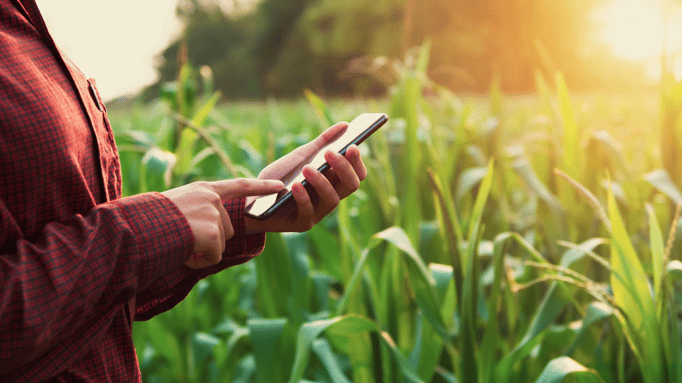 Anticipez votre chantier densilage