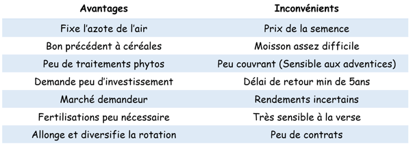 Avantages inconvénients lentille