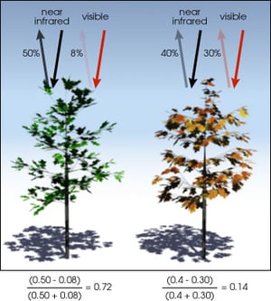 PZ-0720-plante-indice-ndvi