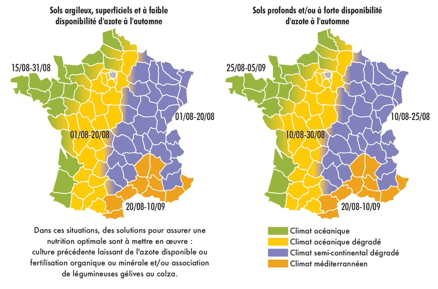 Réussir l'implantation de la culture de colza sur ses parcelles — free download