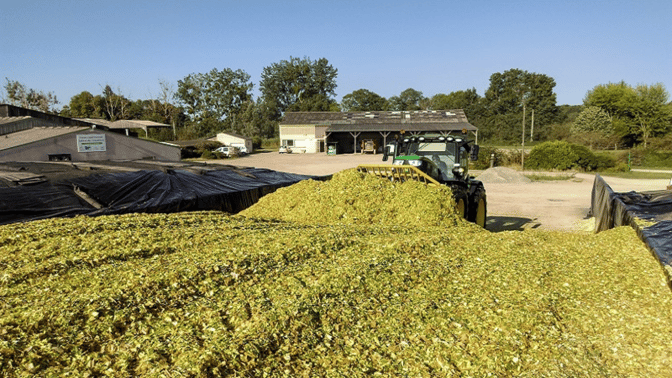 silo mais ensilage tasser