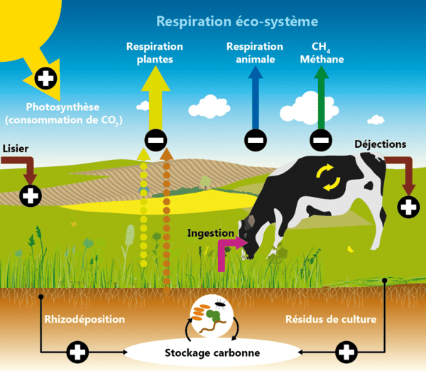 stockage-carbone-agriculture-elevage-C02-sol-GES-gaz-effet-serre