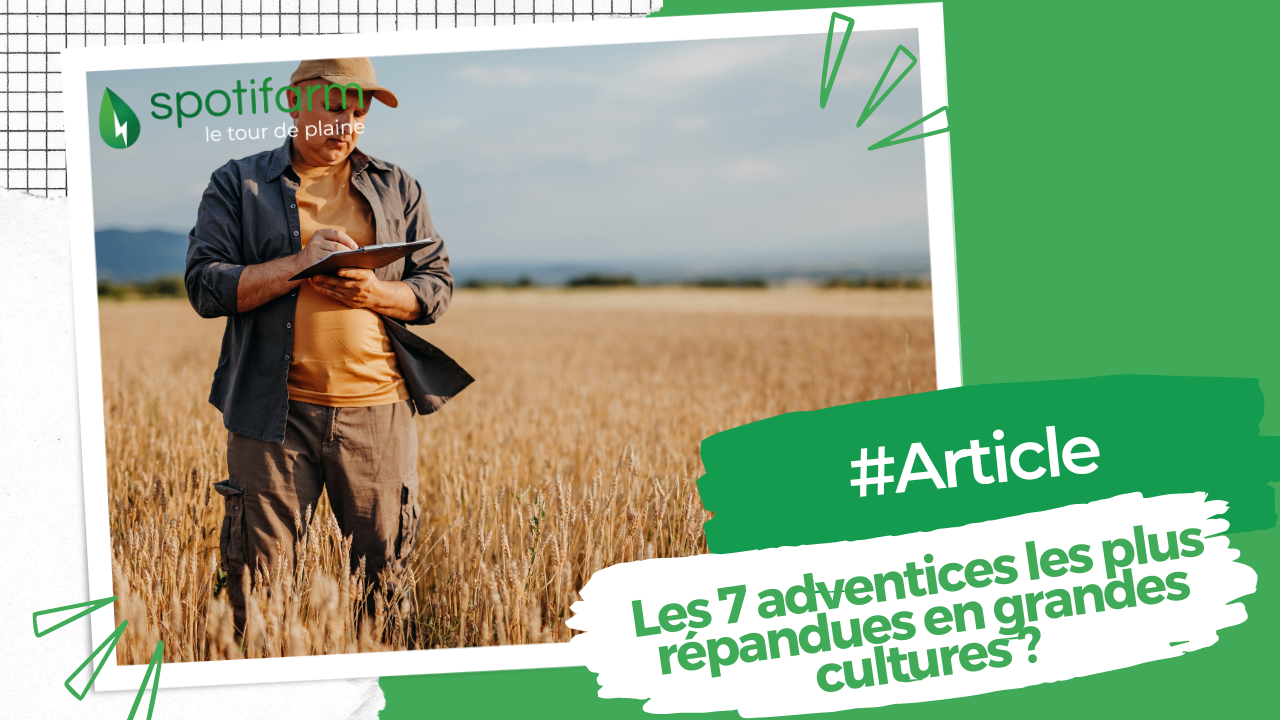 Les 7 adventices les plus répandues en grandes cultures ?