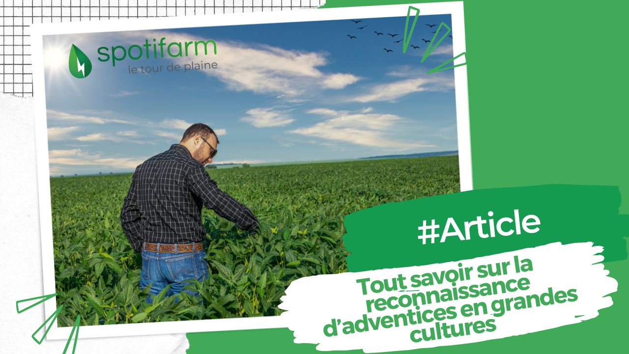Tout savoir sur la reconnaissance d’adventices en grandes cultures