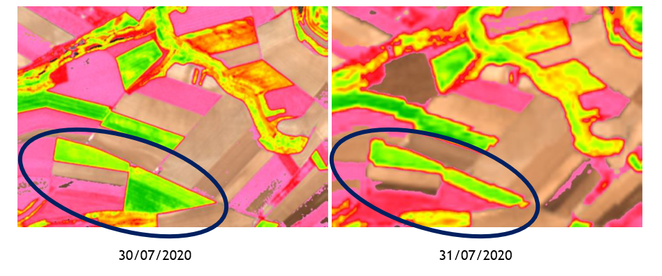 Landsat8-versus-vs-Sentinel2-spotifarm-teledetection-agriculture